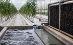 Mar Menor, agua, Murcia, contaminación
