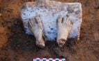 Fragmento de la escultura de mármol del pentélico, hallada durante la excavación del patio del yacimiento de Casas del Turuñuelo en 2017. (Foto: Contruyendo Tarteso)