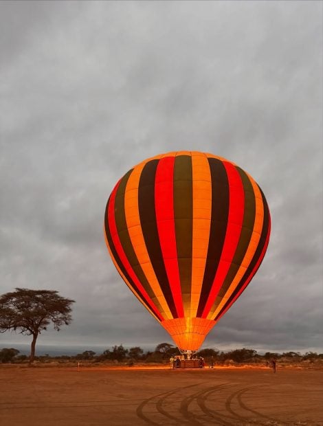 Maribel Verd&uacute;, safari