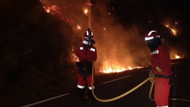 Unos bomberos en el incendio de Ávila
