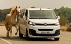 Evacuación caballo San Martín de Valdeiglesias
