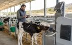 Finca domotizada con terneros, guardería con terneros, guardería de vacas, guardería para amamantar animales en Jerez.