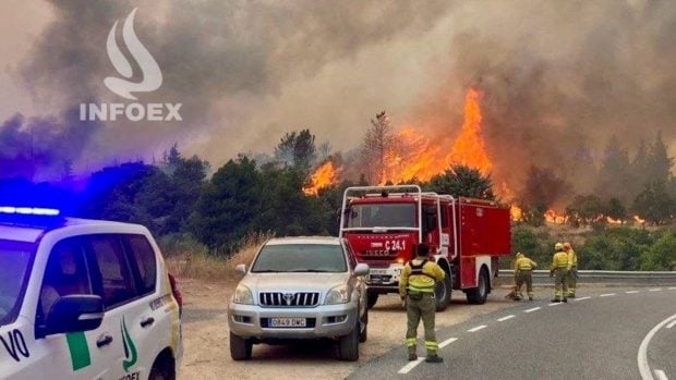 Bomberos del Infoex ayudan en el incendio de Burgohondo (Ávila)