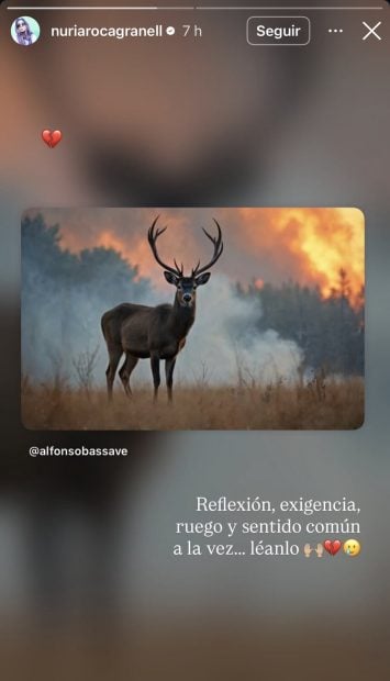 Instagran de Nuria Roca con los indencios