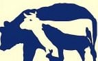 ¿Puedes identificar los diez animales en este enigmático rompecabezas? Usa tu cerebro y concéntrate en los detalles