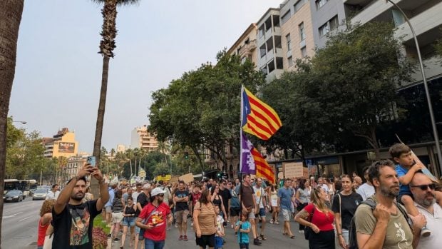 manifestación saturación masificación Palma
