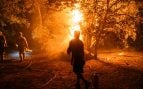 Varias personas trabajan en las labores de extinción del incendio forestal, a 26 de julio de 2026, en La Adrada, Ávila, Castilla y León (España)