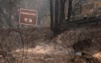 Primeras señales «positivas» en la lucha contra el fuego que ha quemado 77.000 hectáreas en el centro de España