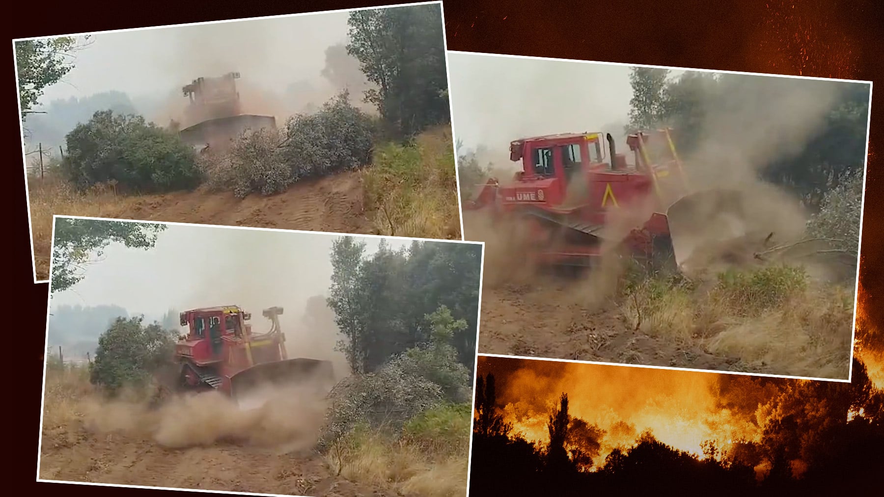 OKDIARIO en la sierra de Ávila: Nuestros antepasados limpiaban el monte, ahora se gestiona desde oficinas y pasa esto