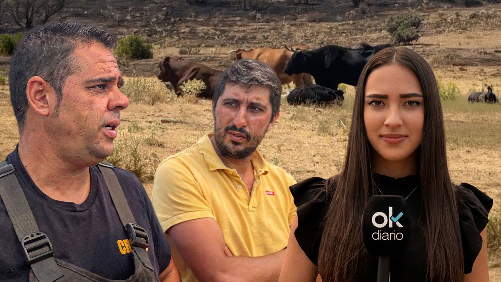 Los ganaderos de Burgohondo a Sánchez: No se atreve a venir aquí y decirnos a la cara lo del cambio climático