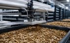 IA, insectos, producción, ciencia, Galicia