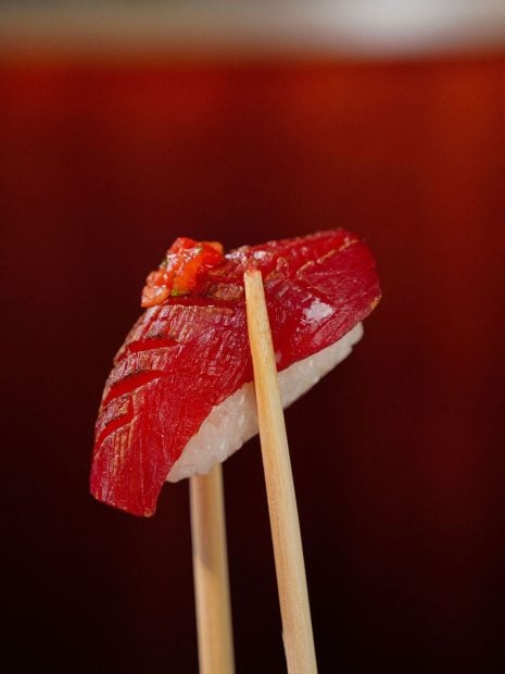recetas atun rojo
