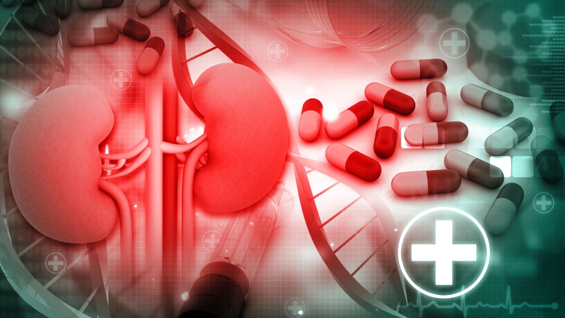 Cuidado con los riñones en verano: la señal de alerta silenciosa del riesgo cardiovascular oculto