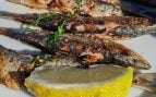 Recetas con sardinas