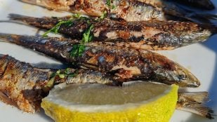 Recetas con sardinas