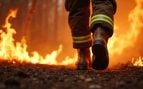 selvicultores incendios