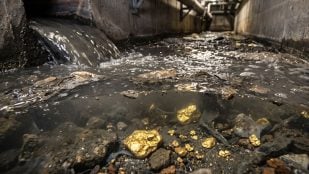 Oro