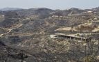 Incendio Forestal de los Gallardos. Foto: Ecologistas en Acción Almería.