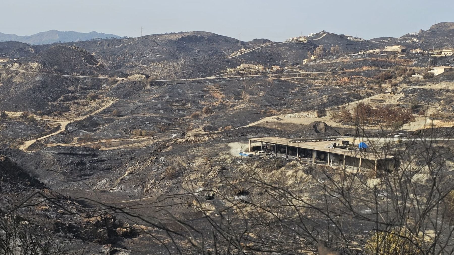 Incendio Forestal de los Gallardos. Foto: Ecologistas en Acción Almería.