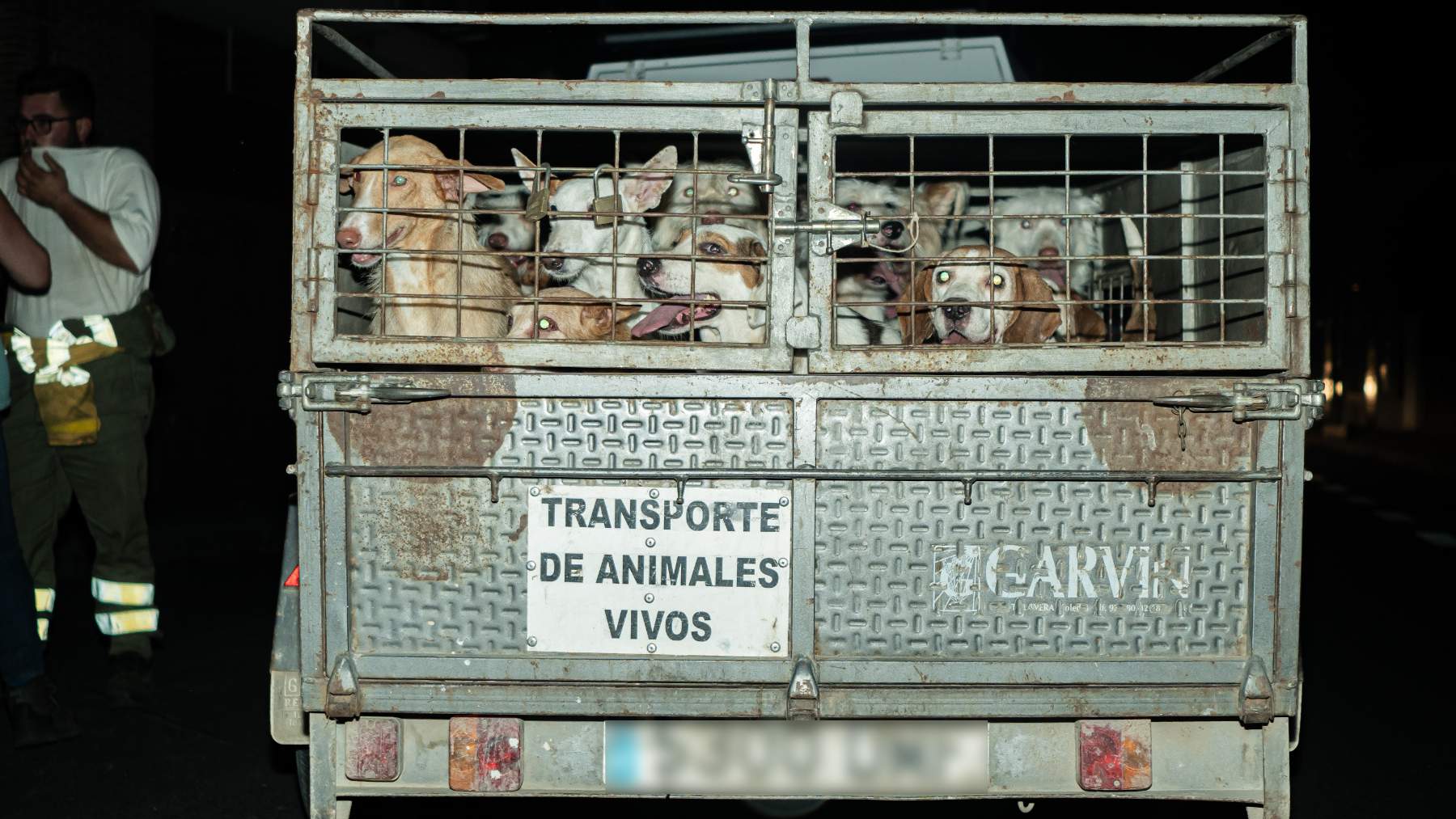 Evaciación de animales durante el incendio en la sierra oeste de Madrid. (Foto: Europa Press).