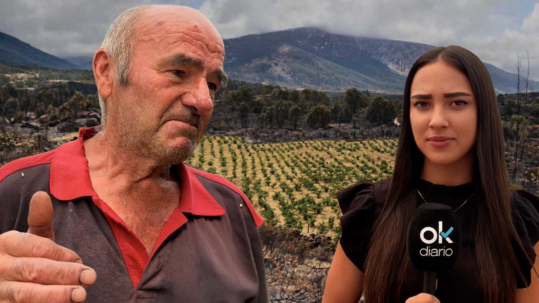 Agricultores de Burgohondo: Una mafia de