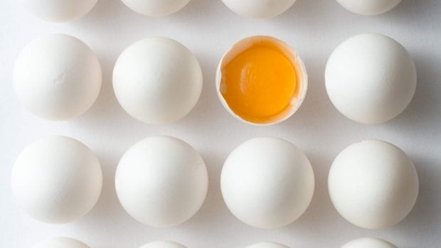 huevos