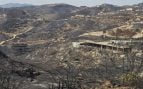 Incendio forestal
