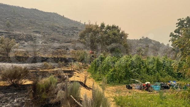Burgohondo incendio