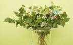 Las flores