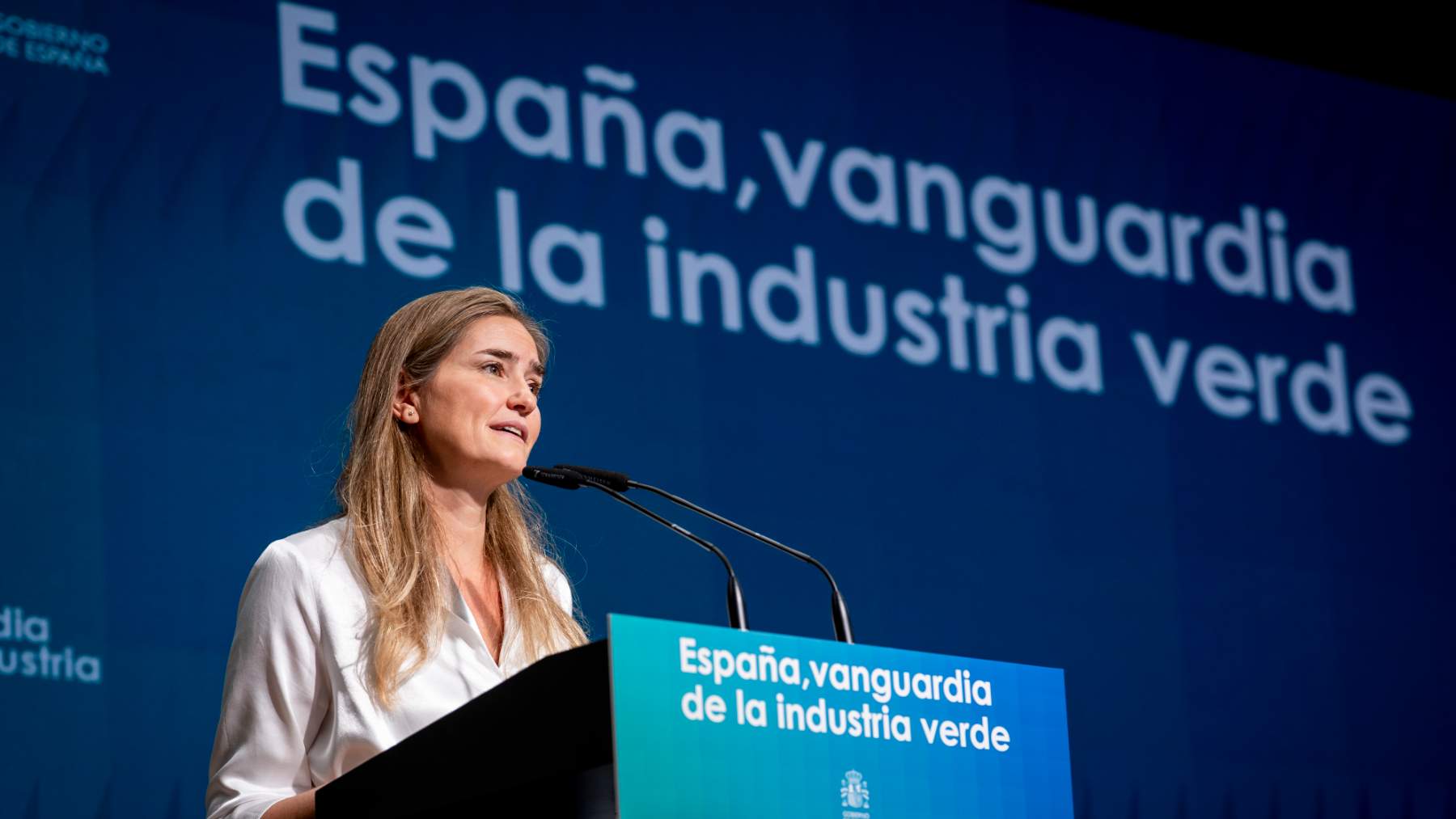 El Gobierno destina 2.040 millones a la red eléctrica para proteger aves y resistir climas extremos
