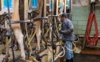 Biotecnología y leche de vaca