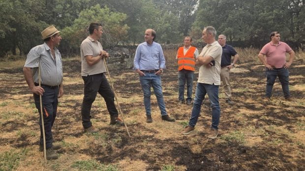 consejero castilla y leon incendio las iruelas