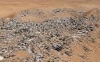 Ropa en el desierto