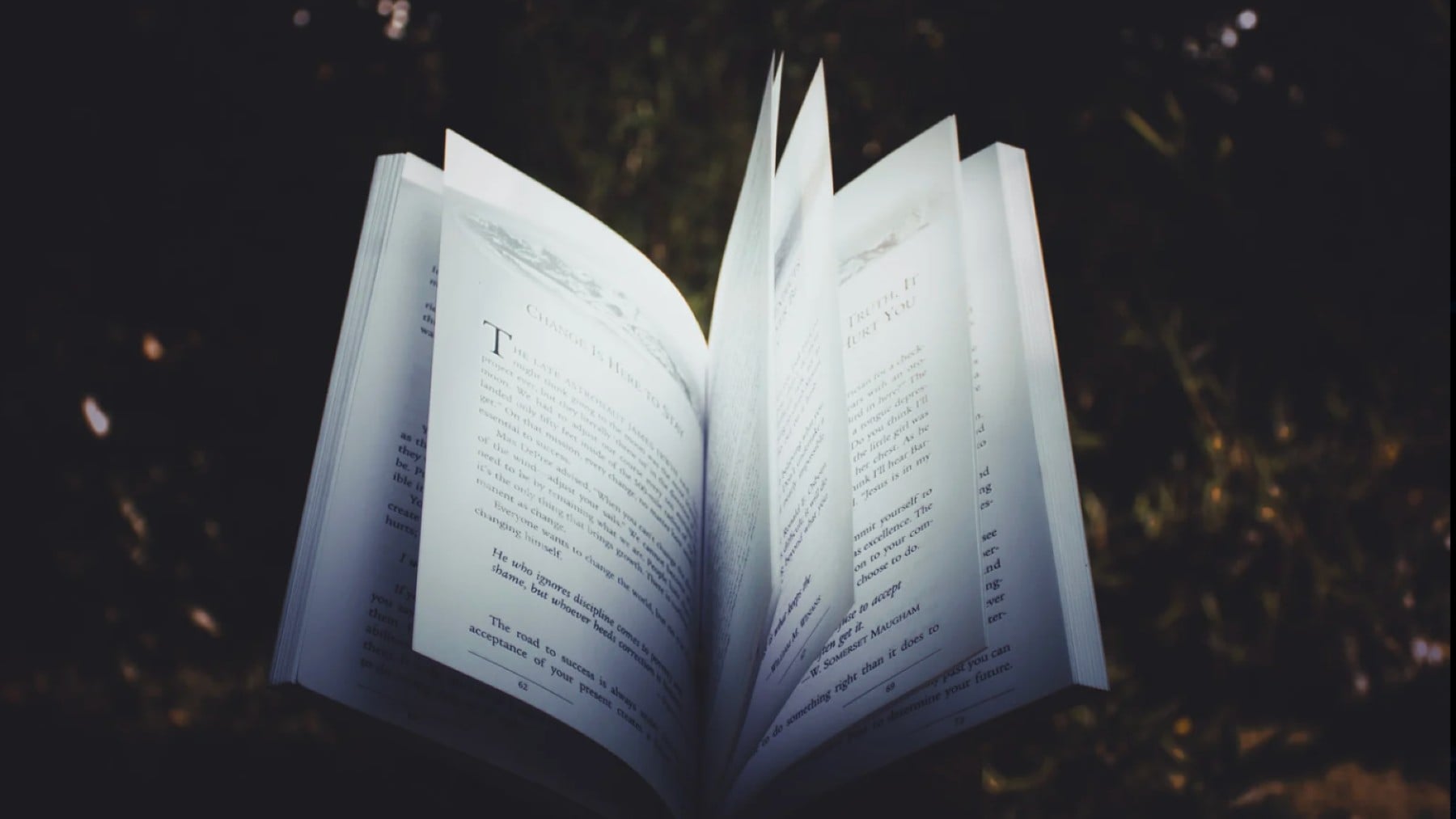 Esta semana recomendamos un libro de aventuras lleno de misterio. (Foto Canva).