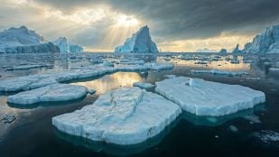 Paisaje de hielo. Foto: Freepik