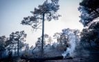 Los incendios de Madrid y Ávila mejoran su situación mientras el de Vall de Uxó avanza sin control