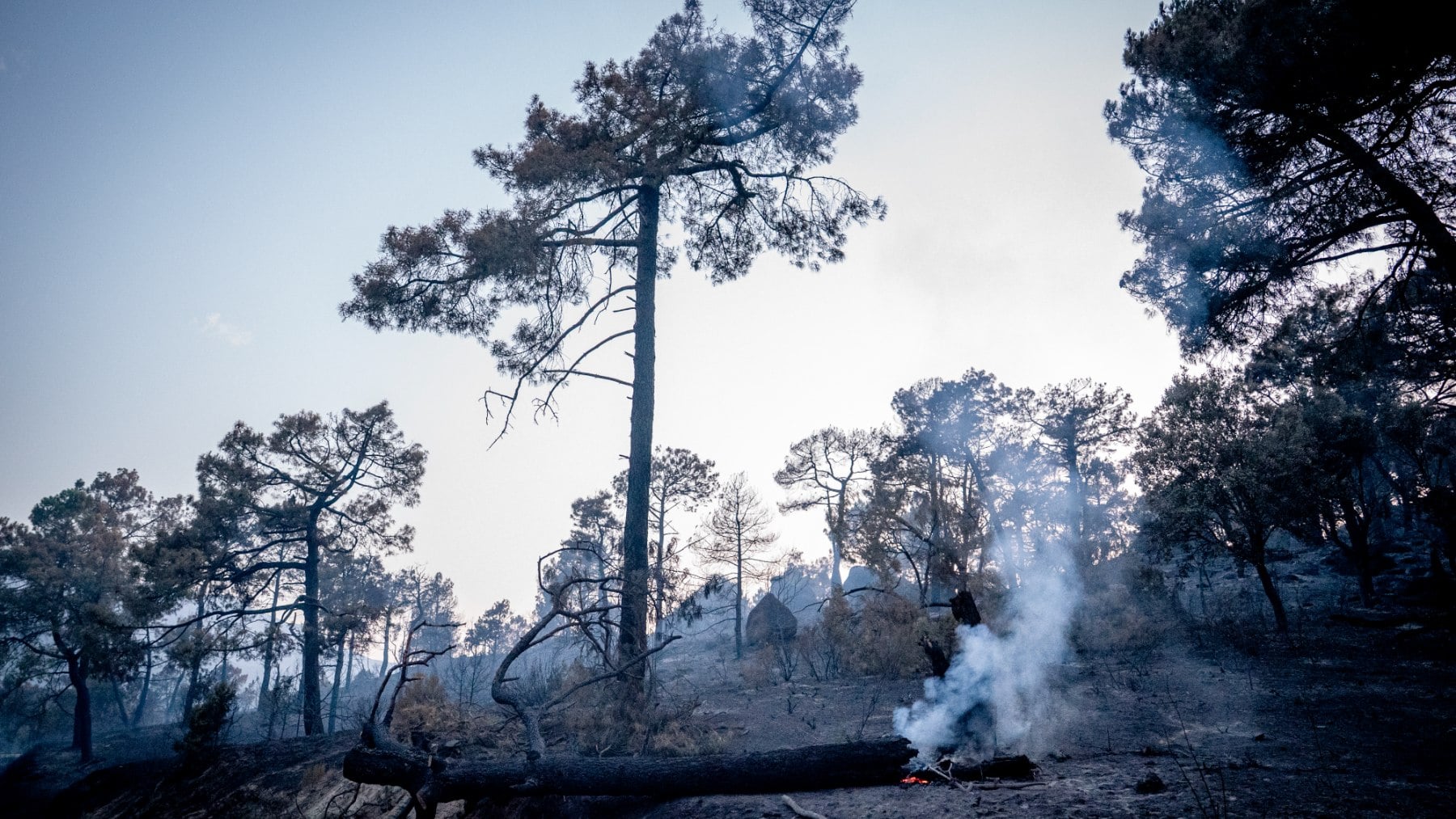 Los incendios de Madrid y Ávila mejoran su situación mientras el de Vall de Uxó avanza sin control