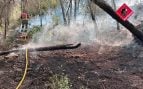 incendio forestal Alicante