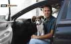 viajar mascotas verano perros gatos