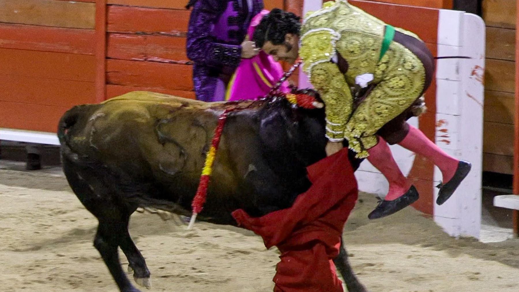 Morante de la Puebla sufre una cogida durante la corrida nocturna de Palma