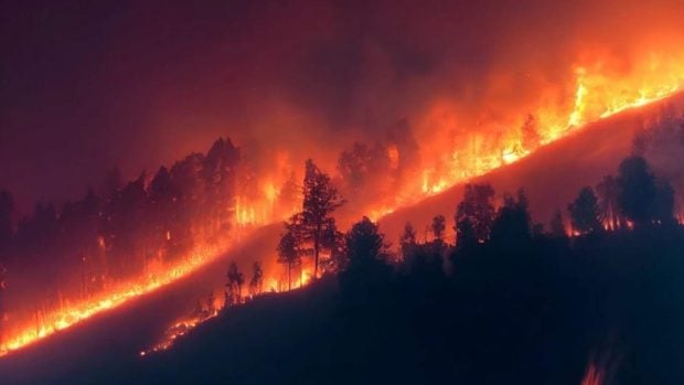 incendio monte