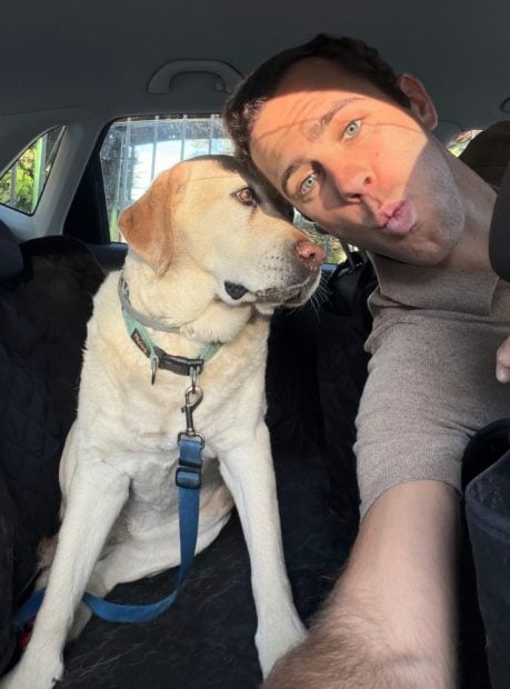 viajar mascotas verano perros gatos