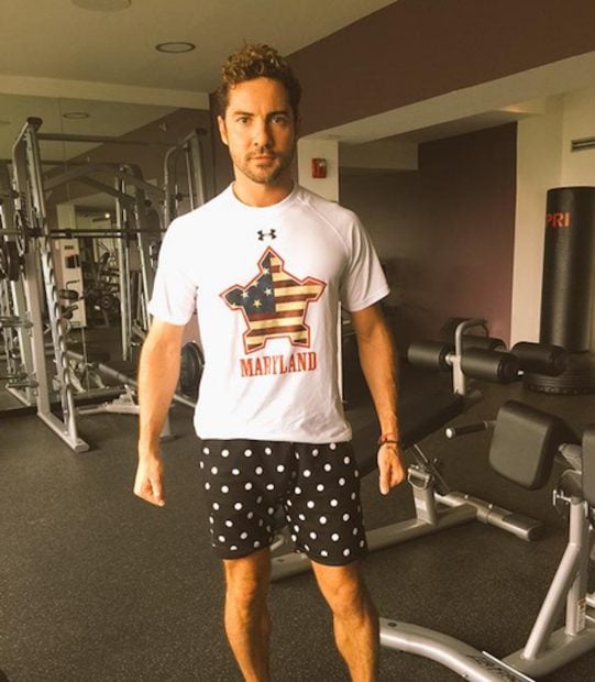 david bisbal, 