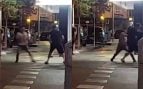 Pelea colombiano Palma