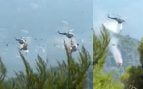 Dos muertos y dos heridos tras chocar en el aire dos helicópteros cuando estaban apagando un incendio en Grecia