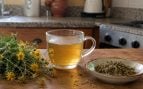 Infusiones madrileñas, mejor infusión de Madrid, Inula salicina, té de prado, té del valle de Lozoya, infusión Inula salicina de Madrid.