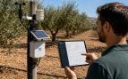 Uso de IA en agricultura, IA en olivar, mejoran riego olivar con inteligencia artificial.