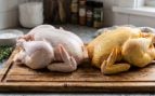 Pollo