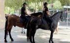 Policia Montada Palma