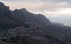 Recogida Picos de Europa